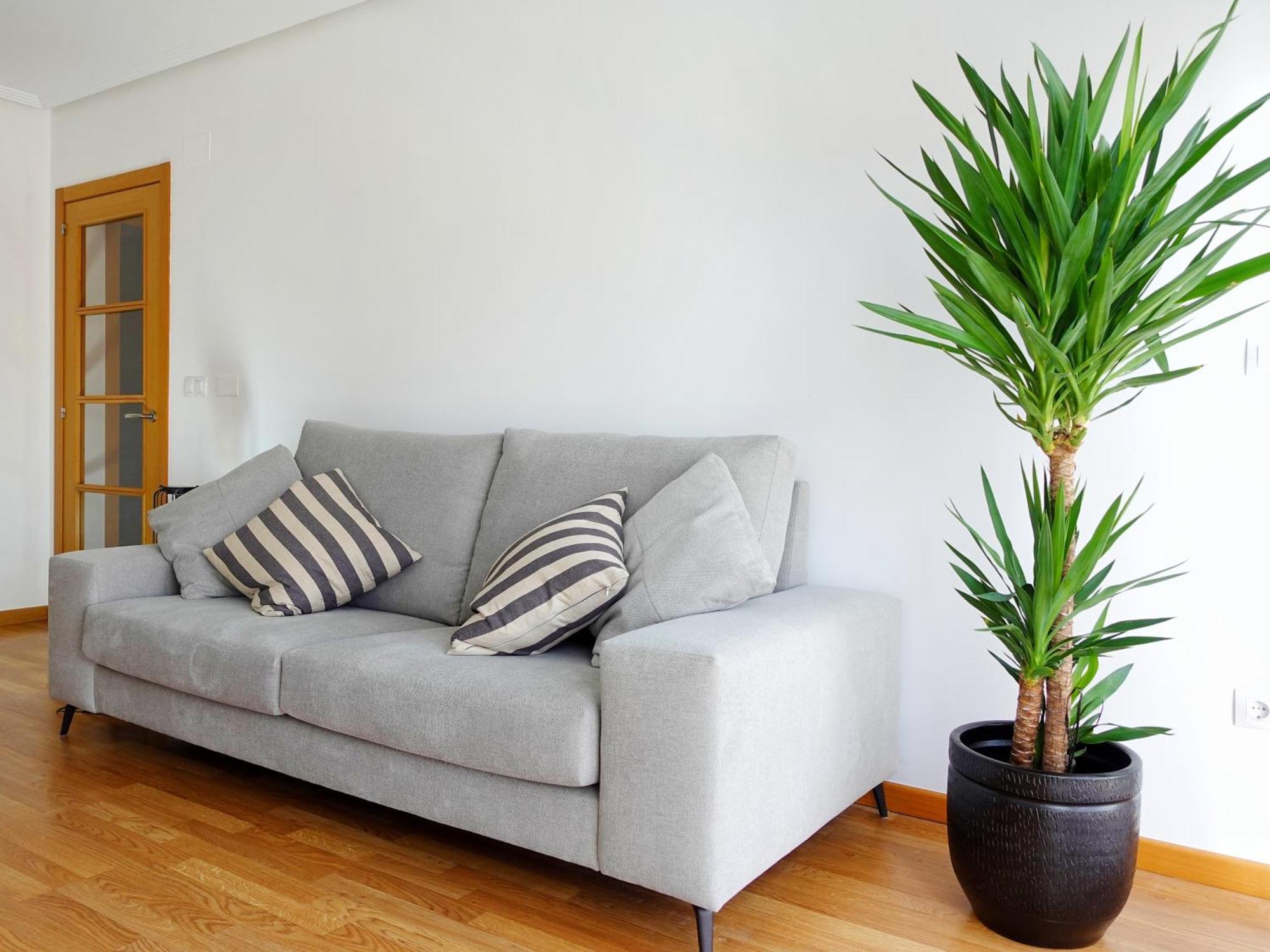 Atalaia Apartment פוז מראה חיצוני תמונה